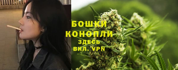 молекула духа Осташков