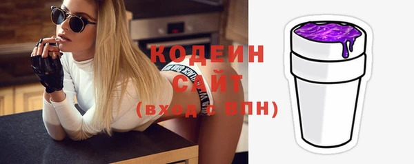 молекула духа Осташков