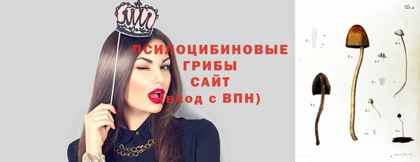 молекула духа Осташков