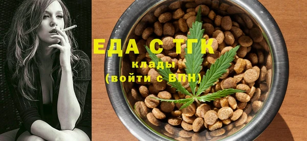 молекула духа Осташков